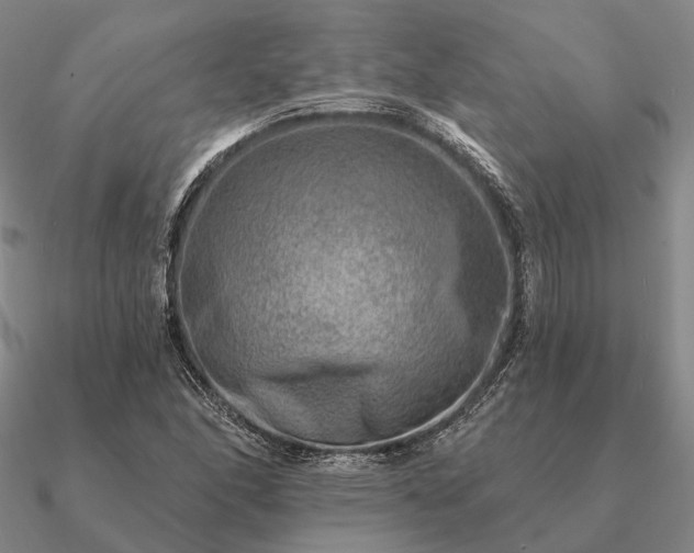 X0000090931166200708061557
