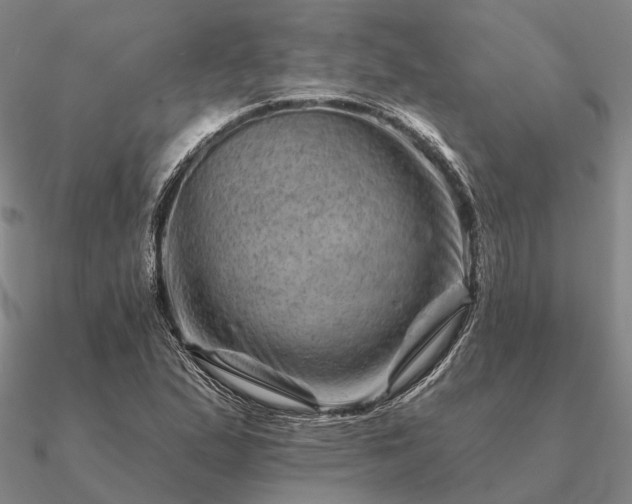 X0000090931167200708061557