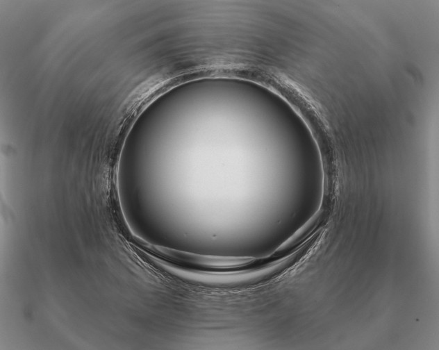 X0000090931169200708061557