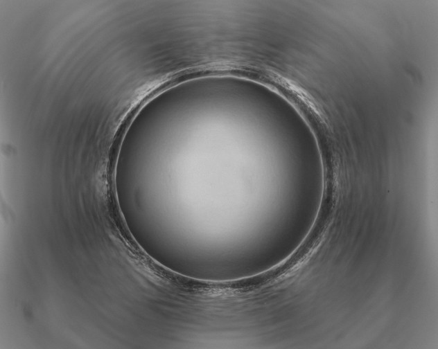 X0000090931170200708061557