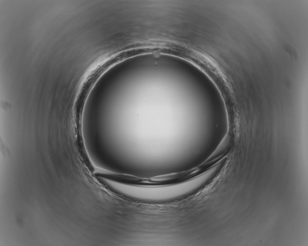 X0000090931172200708061557