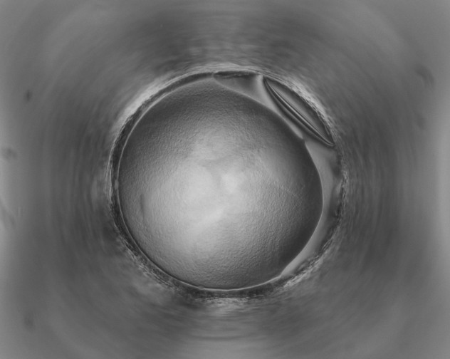 X0000090931173200708061557