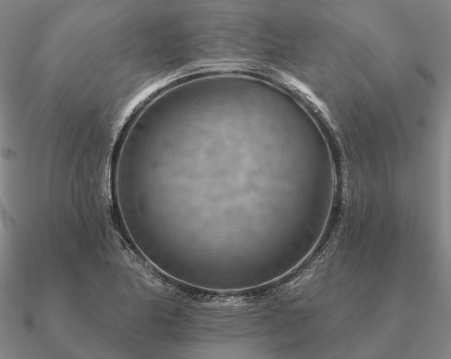 X0000090931174200708061557