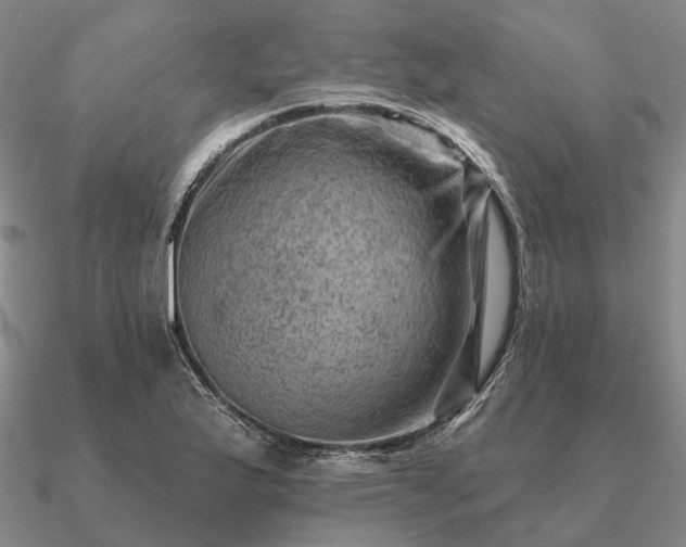 X0000090931175200708061557