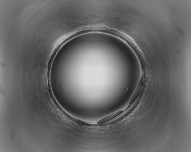X0000090931176200708061557