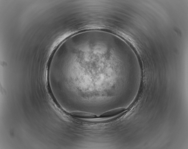 X0000090931179200708061557