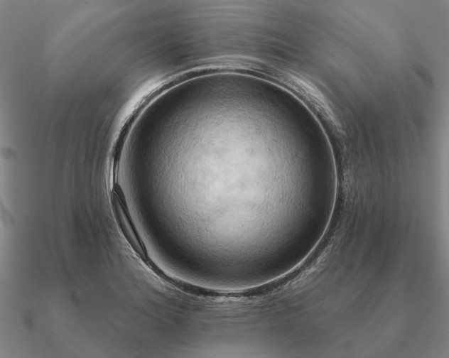 X0000090931180200708061557