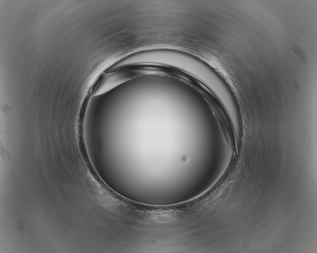 X0000090931181200708061557