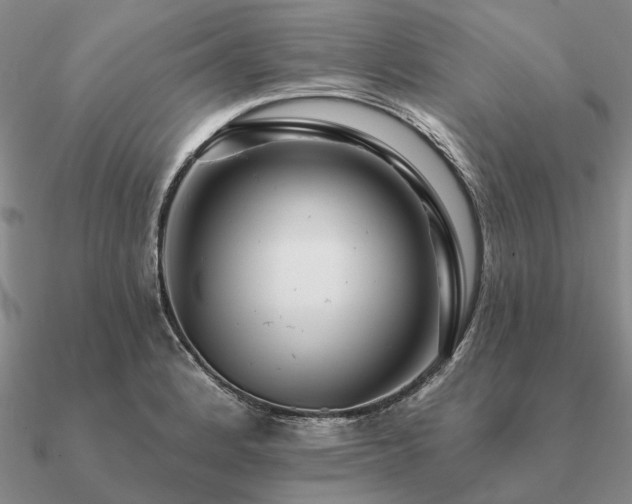 X0000090931184200708061557