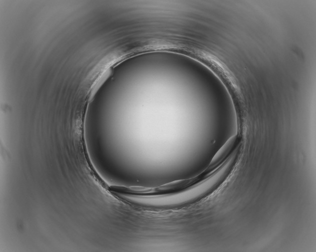 X0000090931185200708061557
