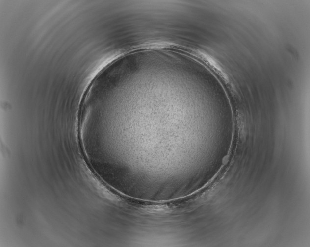 X0000090931186200708061557