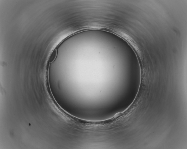 X0000090931187200708061557