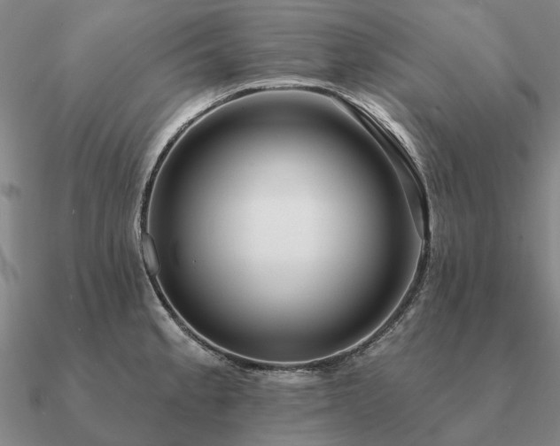 X0000090931189200708061557