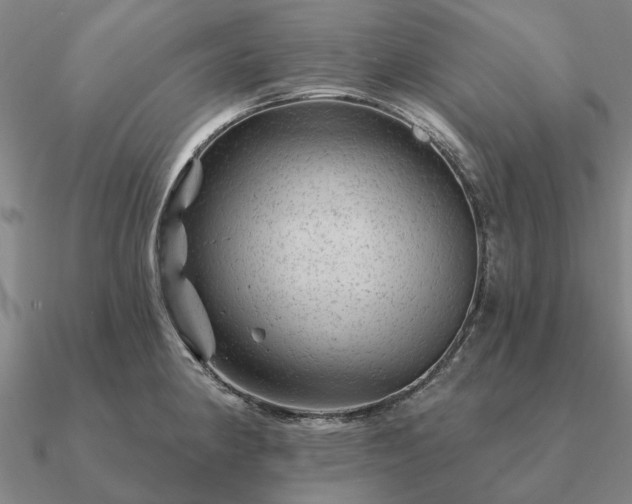 X0000090931190200708061557