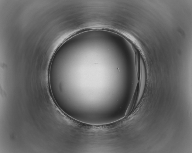X0000090931191200708061557