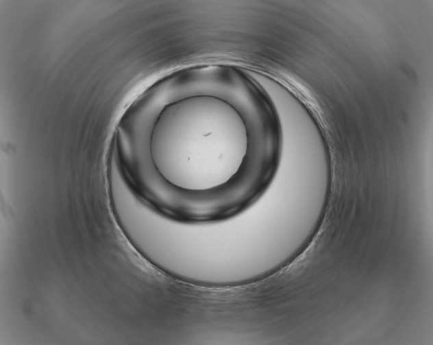X0000090931192200708061557