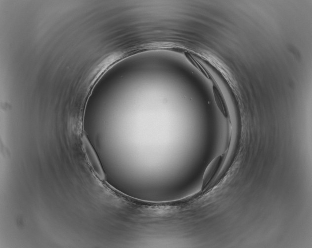 X0000090931193200708061557