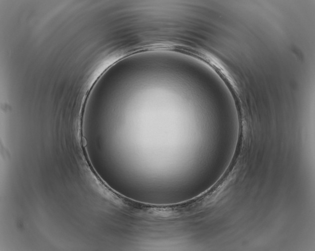 X0000090931194200708061557