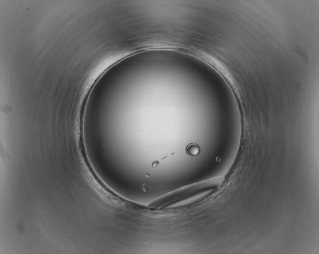 X0000090931195200708061557