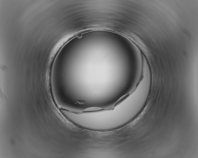 X0000090931196200708061557