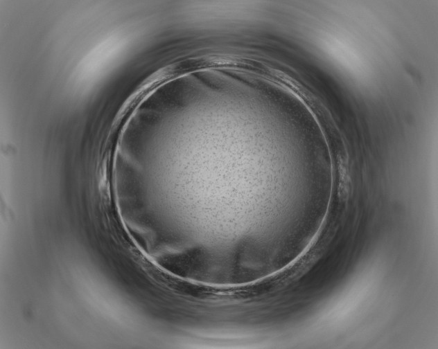 X0000090931198200708061557