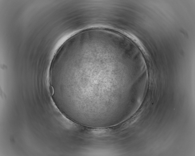X0000090931199200708061557
