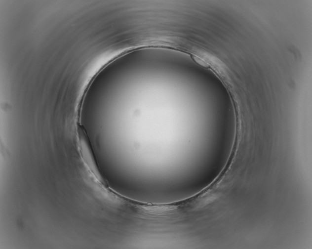 X0000090931200200708061557