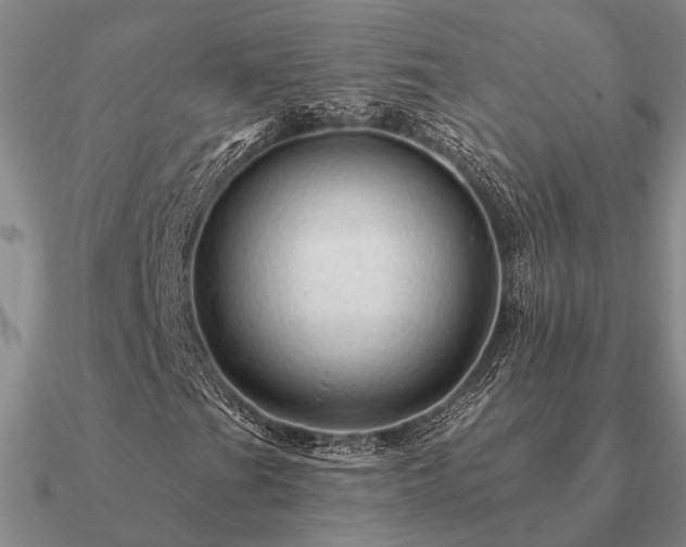 X0000090931201200708061556