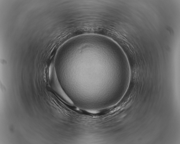 X0000090931202200708061556