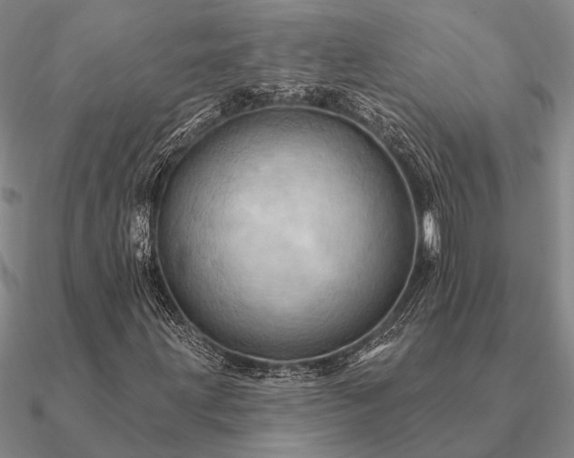 X0000090931203200708061556