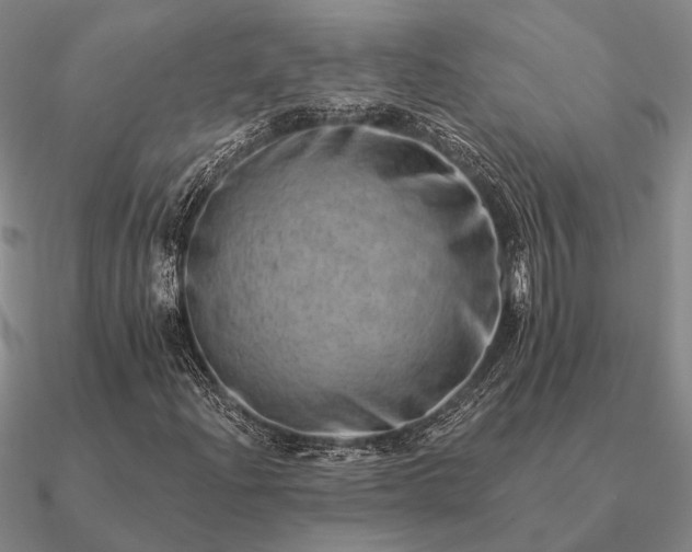 X0000090931204200708061556
