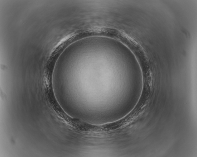 X0000090931206200708061556
