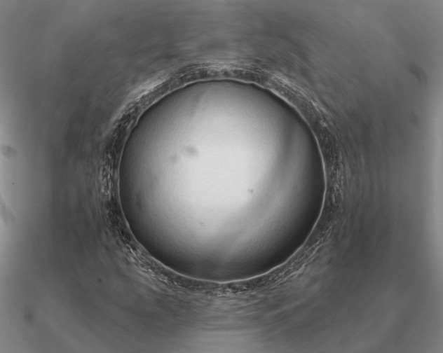 X0000090931207200708061557