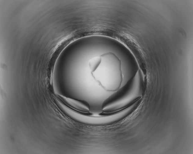 X0000090931210200708061557