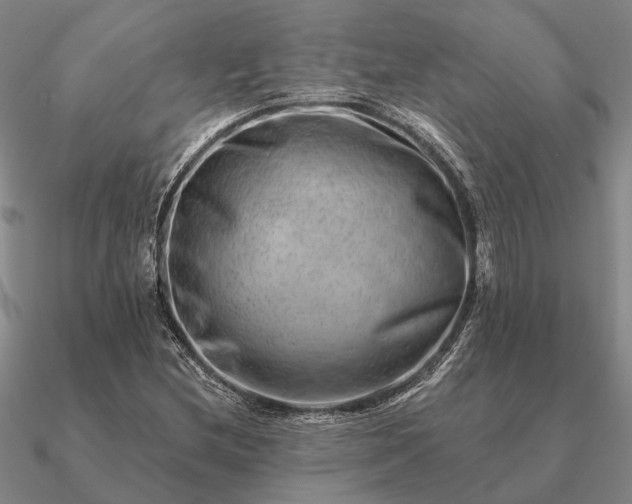 X0000090931212200708061557