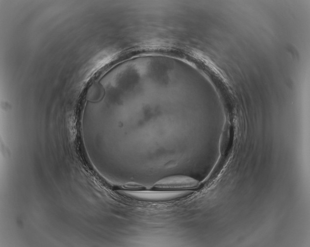 X0000090931213200708061557