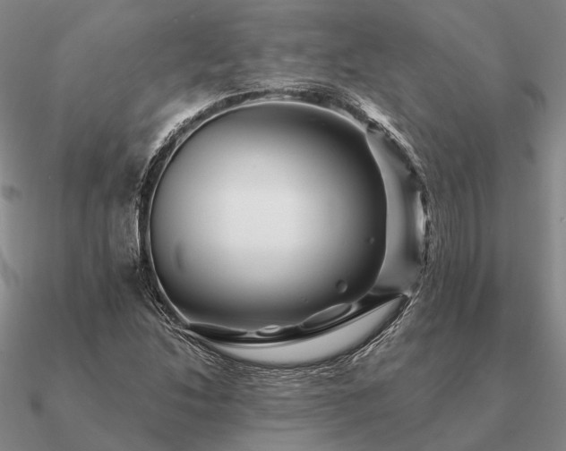 X0000090931214200708061557