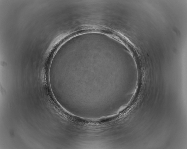 X0000090931215200708061557