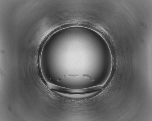 X0000090931216200708061557