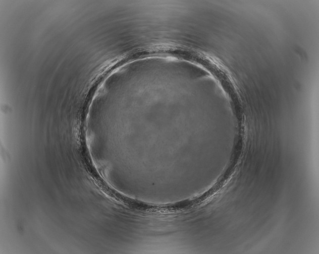 X0000090931217200708061557