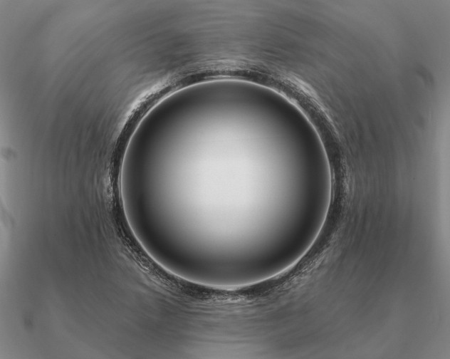 X0000090931218200708061557