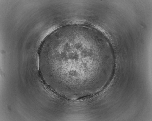X0000090931219200708061557