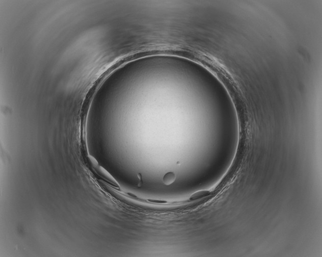 X0000090931220200708061557