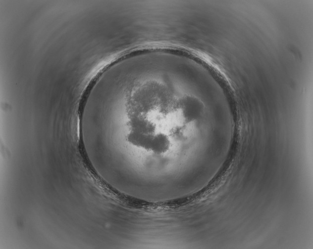 X0000090931221200708061557
