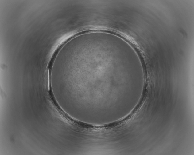 X0000090931223200708061557