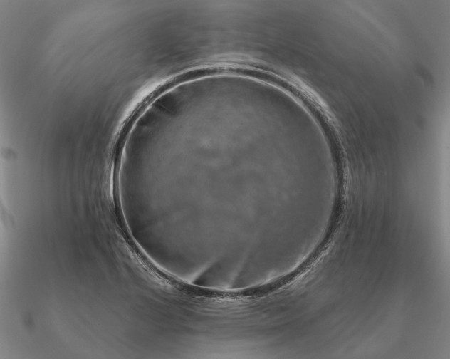 X0000090931224200708061557