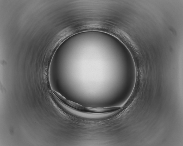 X0000090931225200708061557