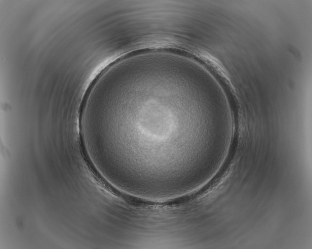 X0000090931226200708061557