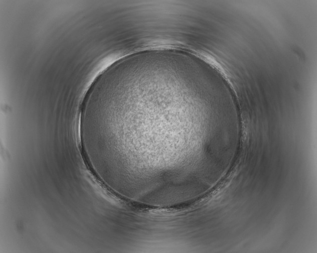 X0000090931227200708061557