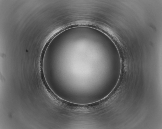X0000090931229200708061557
